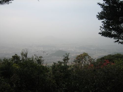 f0036700_11264656.jpg