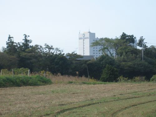 f0036700_11285370.jpg