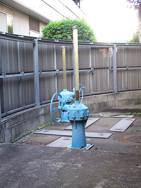 c0163001_07254.jpg