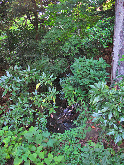 c0163001_08544.jpg
