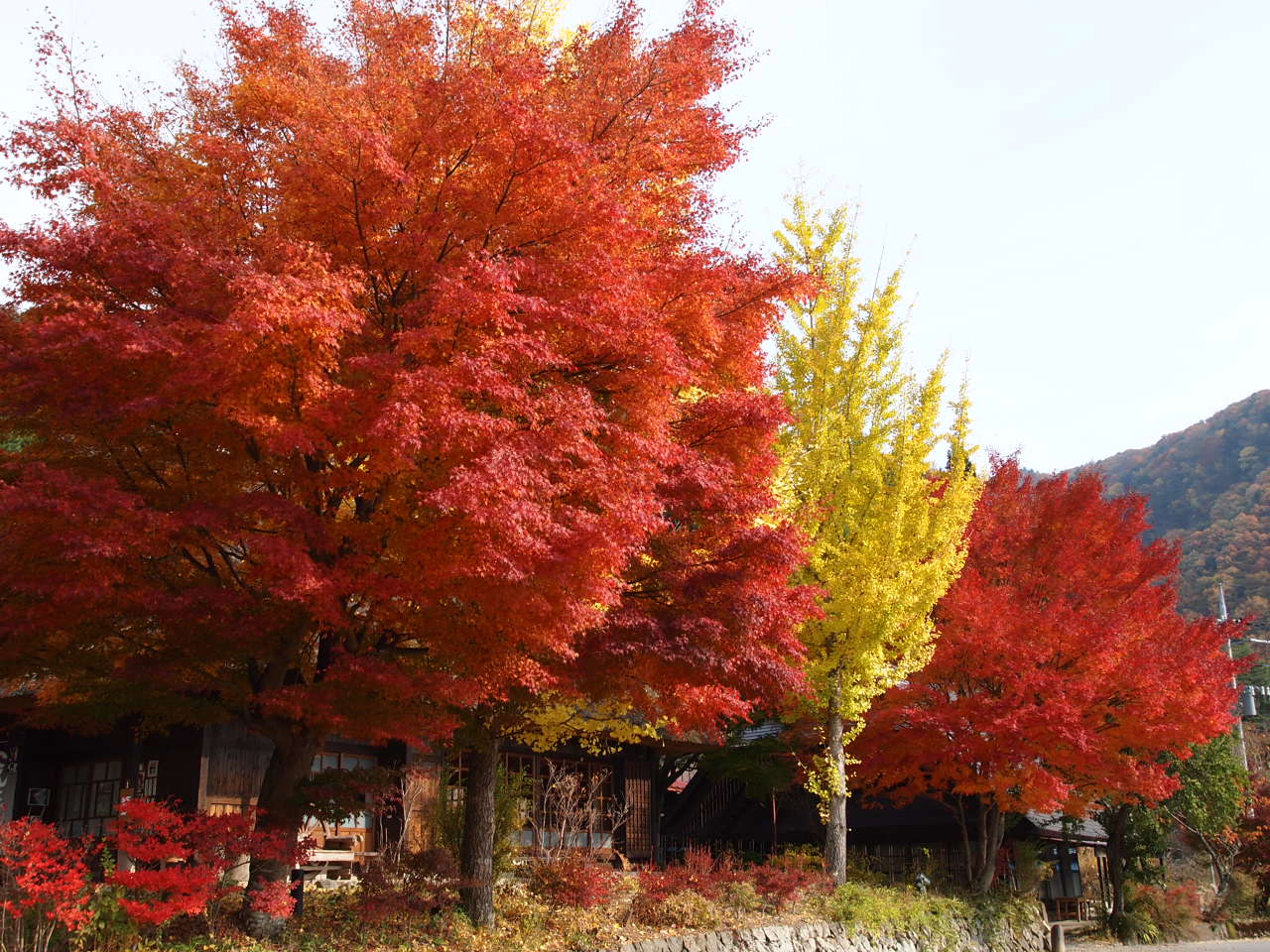 いやしの里・根場（ねんば）と山中湖にて。_f0236201_97433.jpg