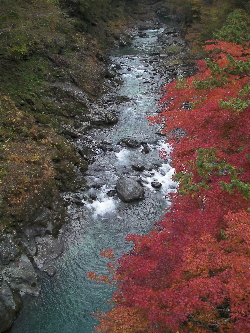 色づいてきた_c0121102_18283722.jpg
