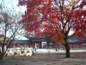 f0124303_23555056.jpg