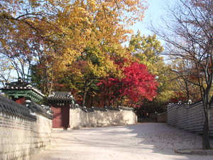 f0124303_23564079.jpg