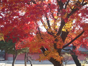 f0124303_2357195.jpg