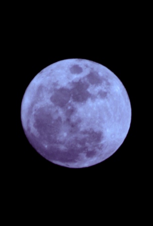 a0084404_1333872.jpg