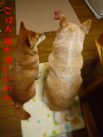 e0131506_2301493.jpg