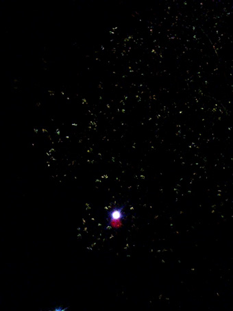 b0028109_17565930.jpg