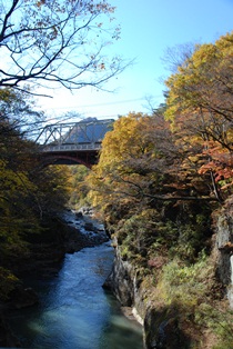 e0117209_22232018.jpg