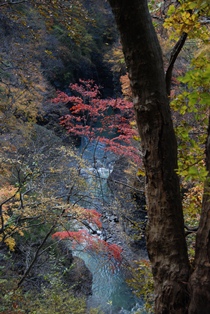 e0117209_2227169.jpg