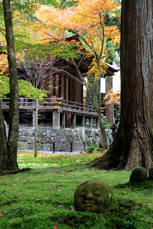 三千院 紅葉の盛り1_e0048413_19305277.jpg