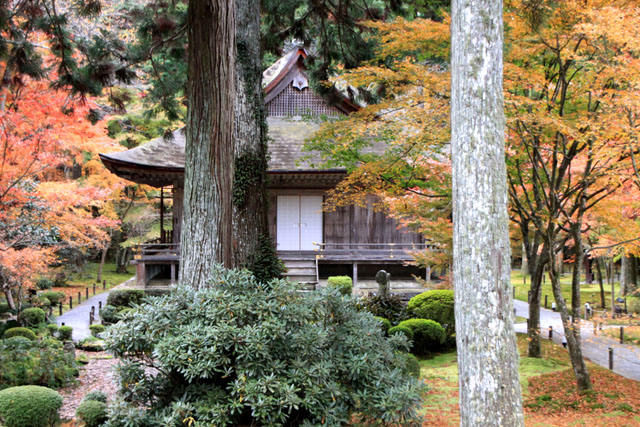 三千院 紅葉の盛り2_e0048413_21282953.jpg