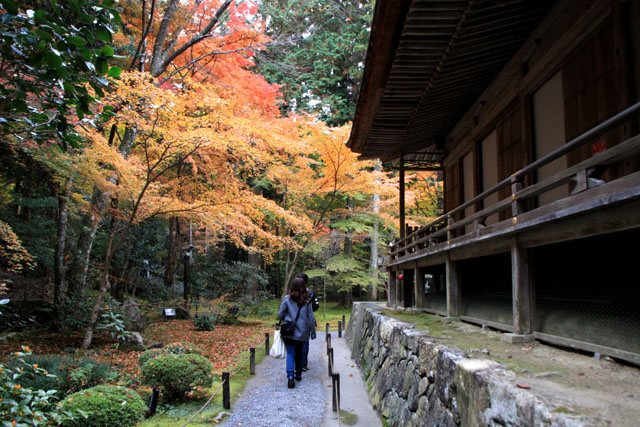 三千院　紅葉の盛り2_e0048413_21291714.jpg