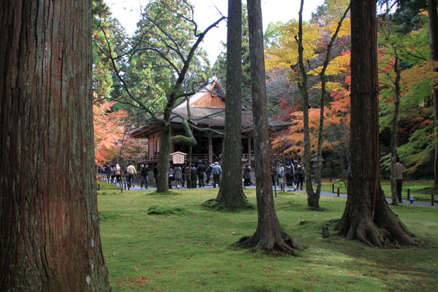 三千院 紅葉の盛り2_e0048413_21304663.jpg