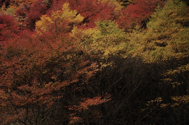 f0203415_01491.jpg