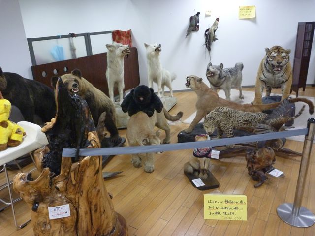 セルバ リサイクルショップうさぎ_b0054727_23125561.jpg