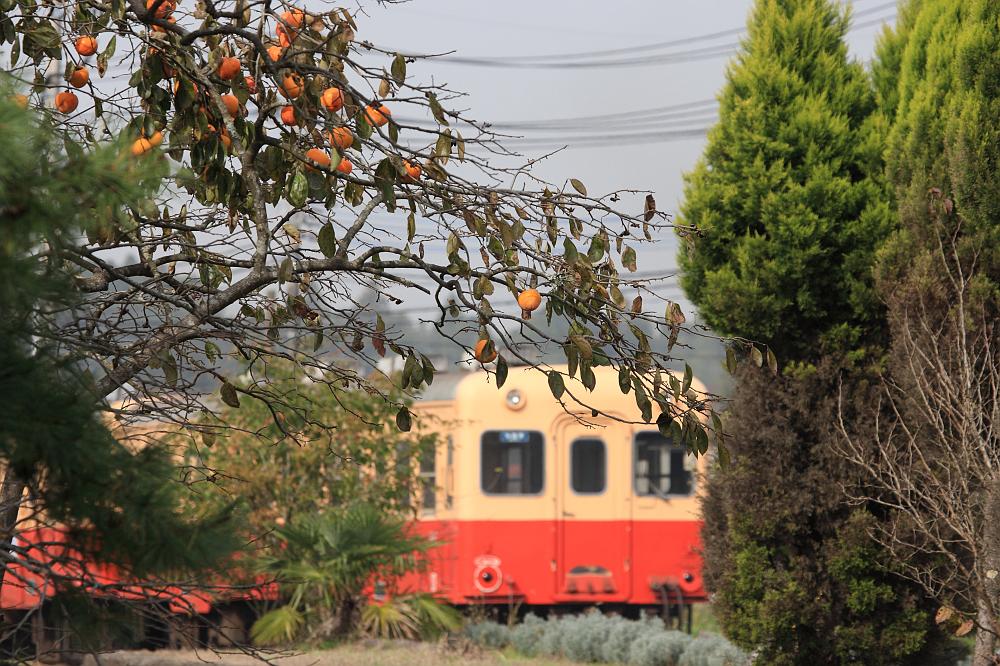 2010.11.13（土）　小湊鉄道でてっちゃんしました。。。_a0165332_22263014.jpg