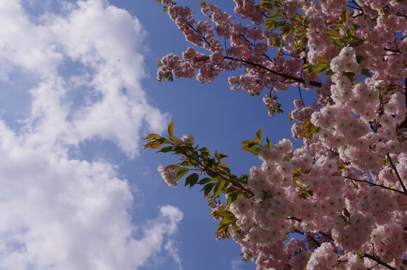 c0113733_030041.jpg