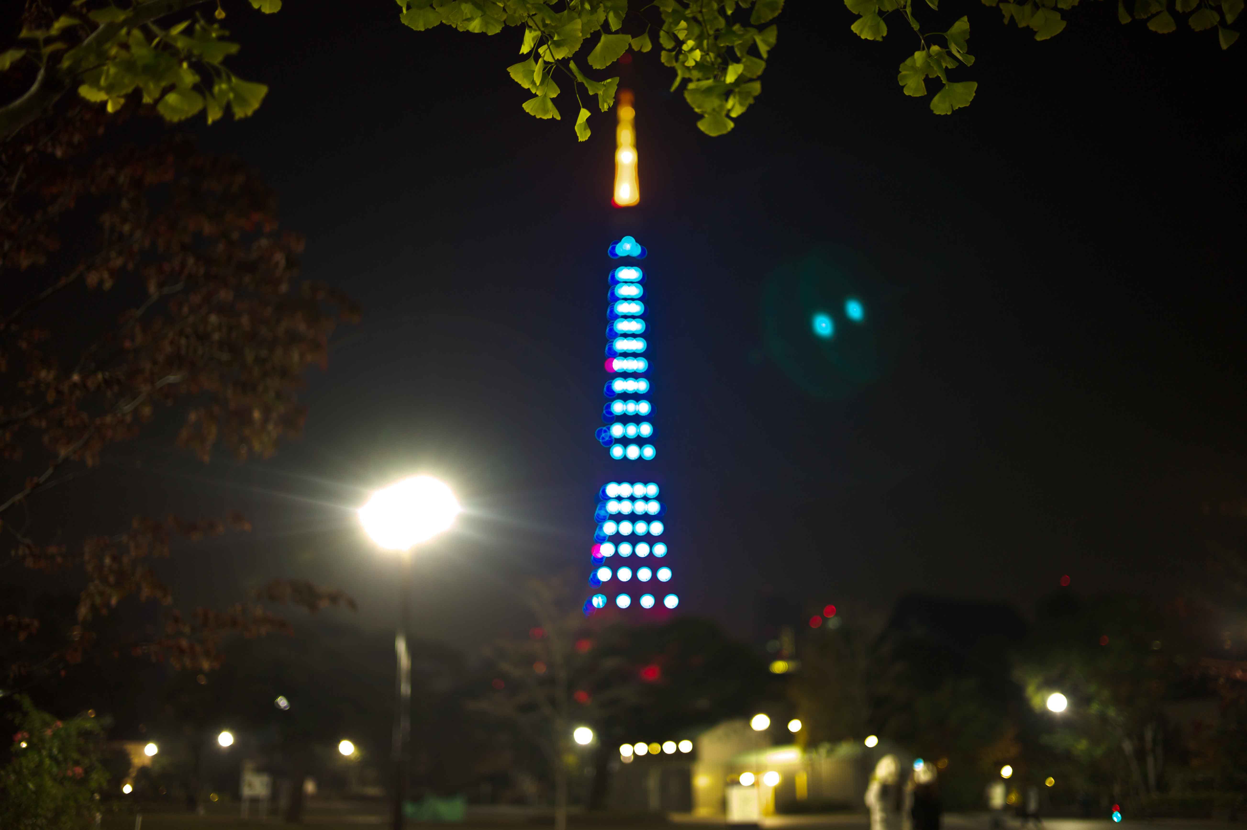c0215036_1985651.jpg