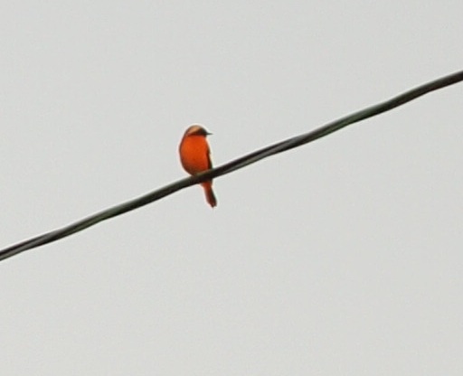a0146442_16291523.jpg