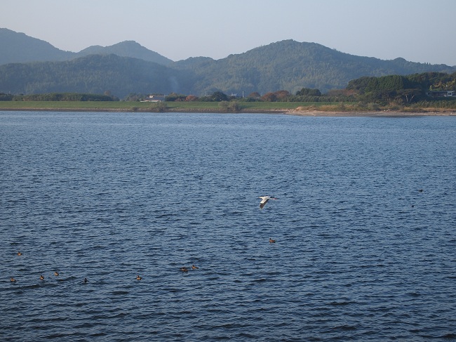 a0146442_16383015.jpg