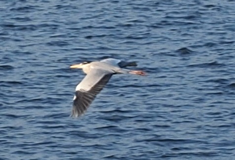 a0146442_16385241.jpg