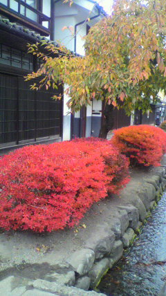 e0209043_11204551.jpg