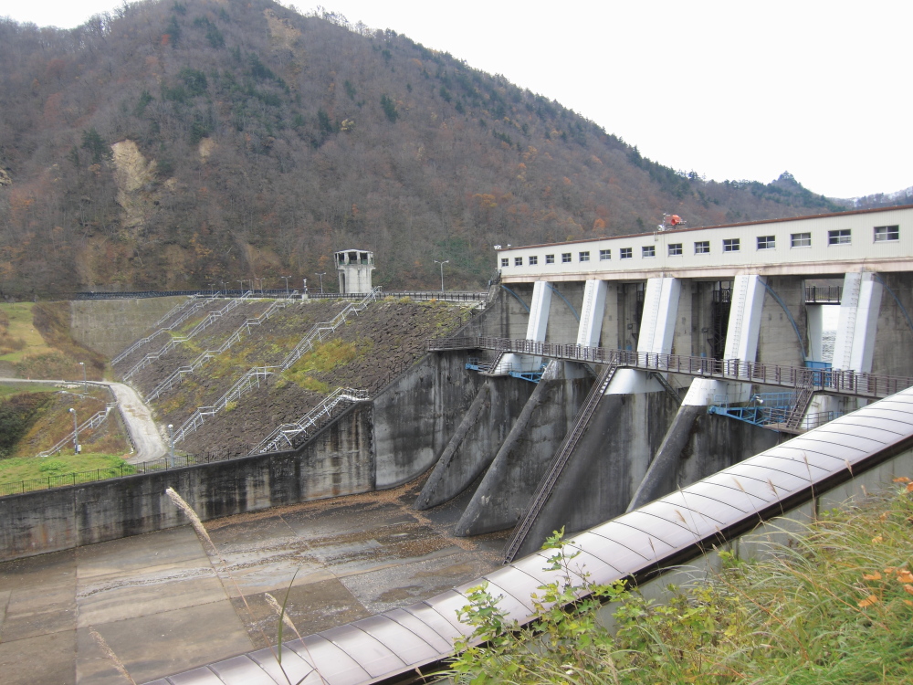a0092245_826184.jpg