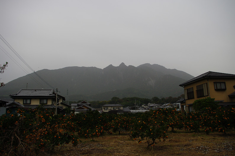 しまてつ（島原鉄道）の旅．．．_f0152550_2157156.jpg