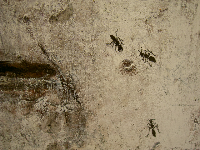 覚醒_a0071956_18441232.jpg