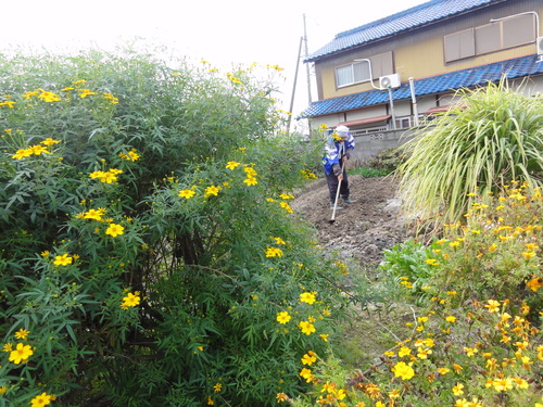 c0108460_17365122.jpg