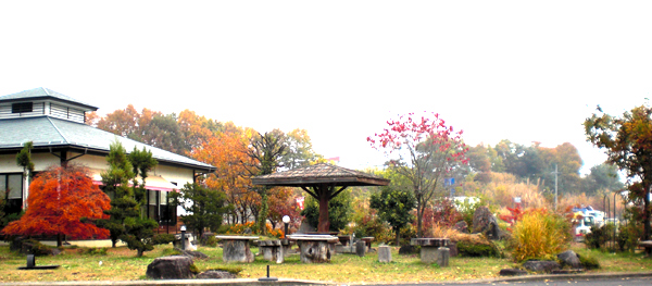 a0053063_15594785.jpg