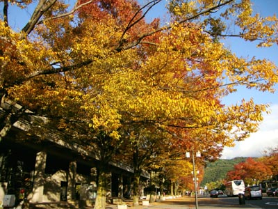 京都紅葉散歩　松尾～嵯峨嵐山～岡崎_b0160363_1582583.jpg