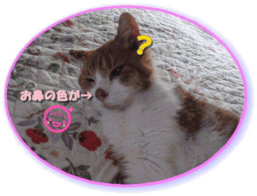 d0166164_93276.gif