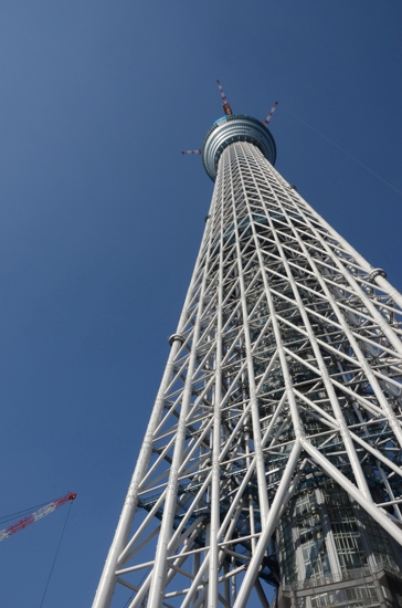 スカイツリー&東京タワー&エッフェル塔写真_e0171573_2151825.jpg