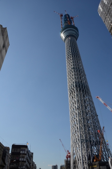 スカイツリー&東京タワー&エッフェル塔写真_e0171573_215749.jpg