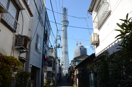 スカイツリー&東京タワー&エッフェル塔写真_e0171573_2161075.jpg