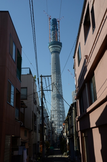 スカイツリー&東京タワー&エッフェル塔写真_e0171573_2161471.jpg