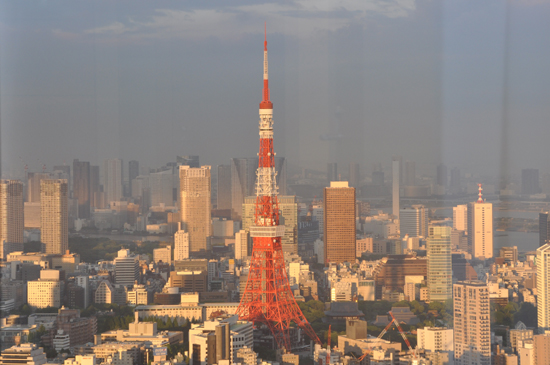 スカイツリー&東京タワー&エッフェル塔写真_e0171573_2161921.jpg