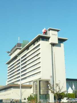 b0141878_17541976.jpg
