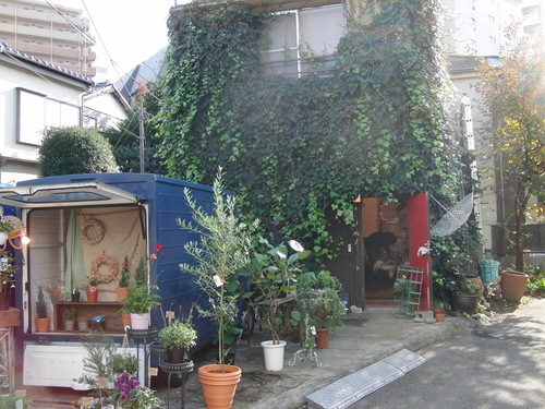hanamidori_b0205379_122952.jpg