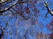 c0057781_13231451.jpg