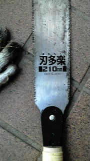 e0191384_0591465.jpg
