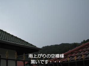 ころころ変わる天気_f0144385_16472198.jpg