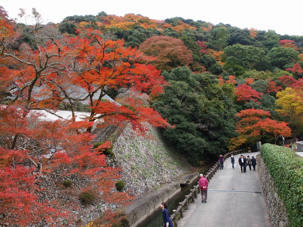 「紅葉～箕面公園～」_a0133692_2115018.jpg