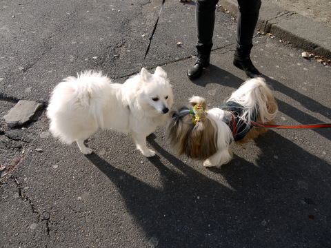 c0090198_74521.jpg