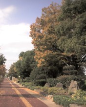 c0164401_246431.jpg