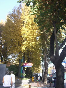 f0124303_005333.jpg