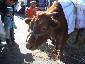 f0124303_012893.jpg