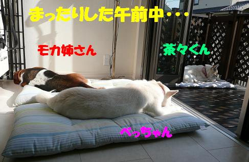 f0121712_13392624.jpg
